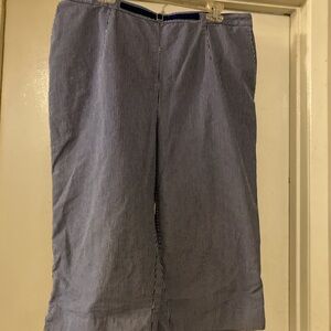 Alfred Dunner Navy and White Striped Pants